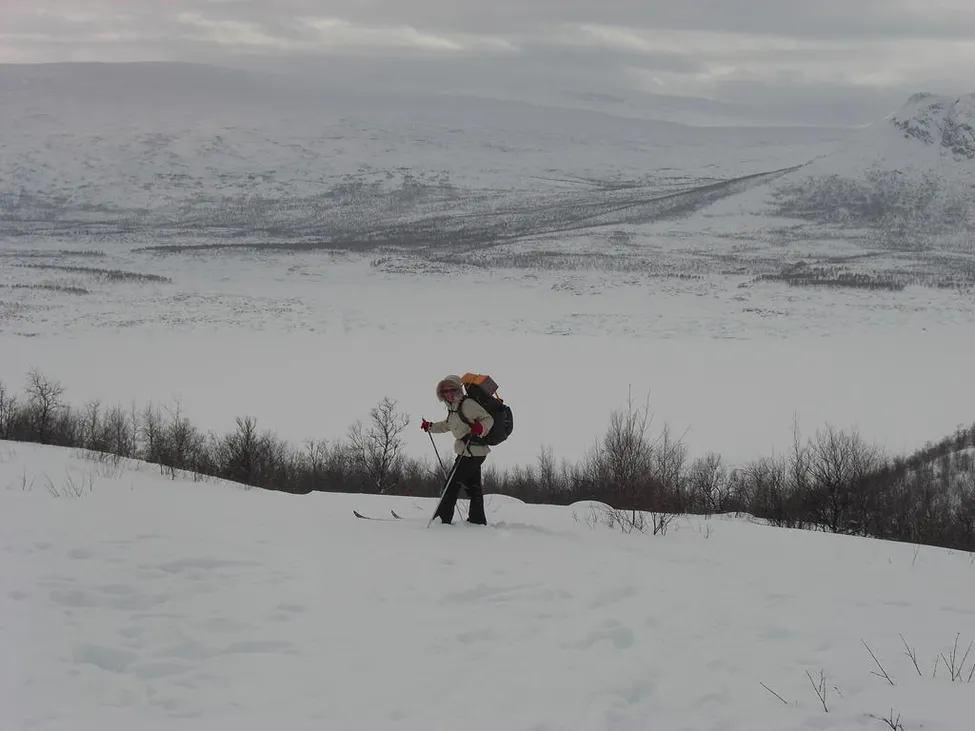 Klicka för att förstora
