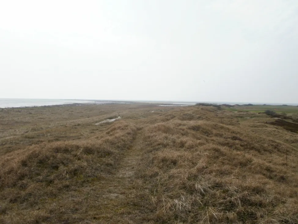 Klicka för att förstora