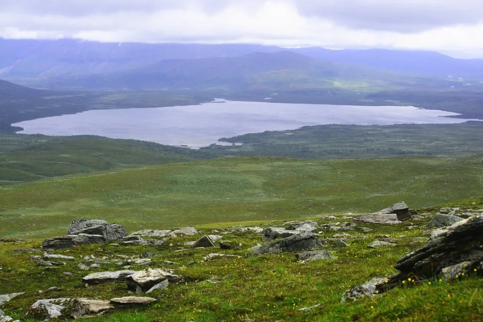 Klicka för att förstora