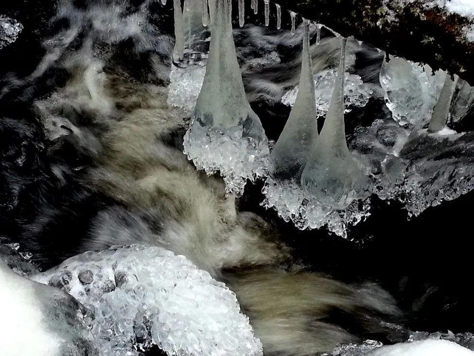Klicka för att förstora
