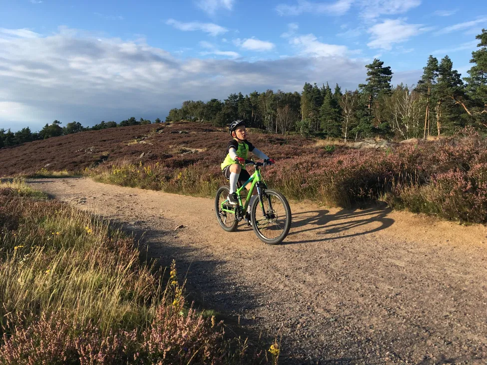 Klicka för att förstora