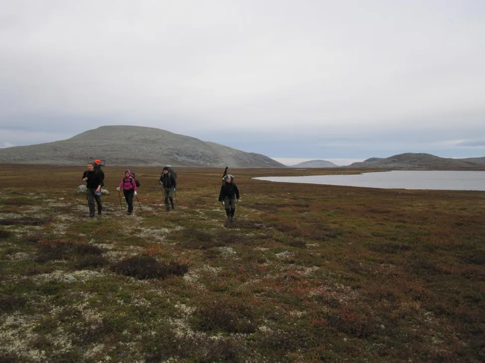 Klicka för att förstora