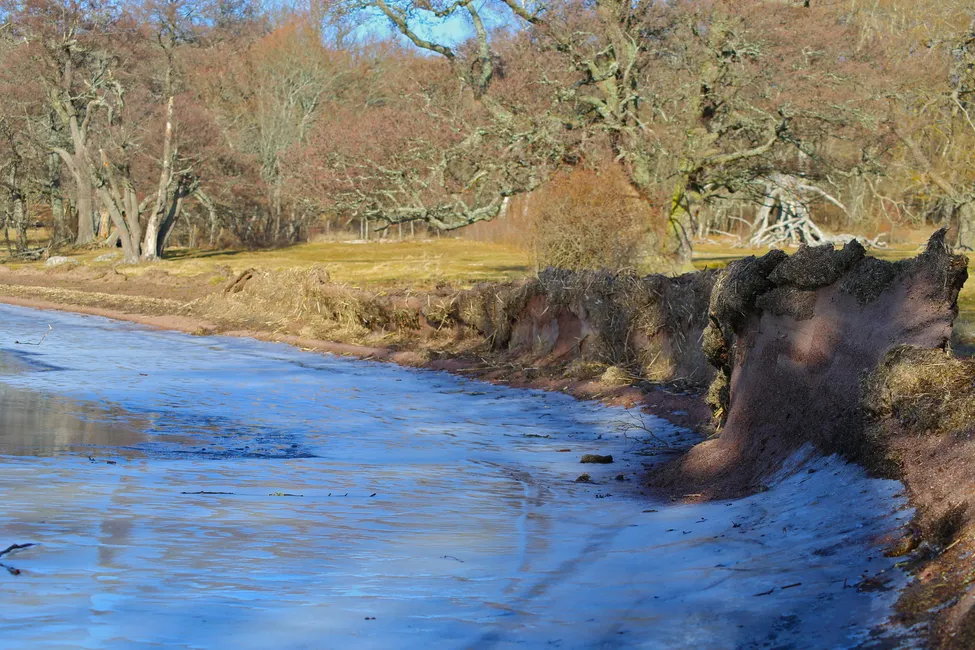 Klicka för att förstora