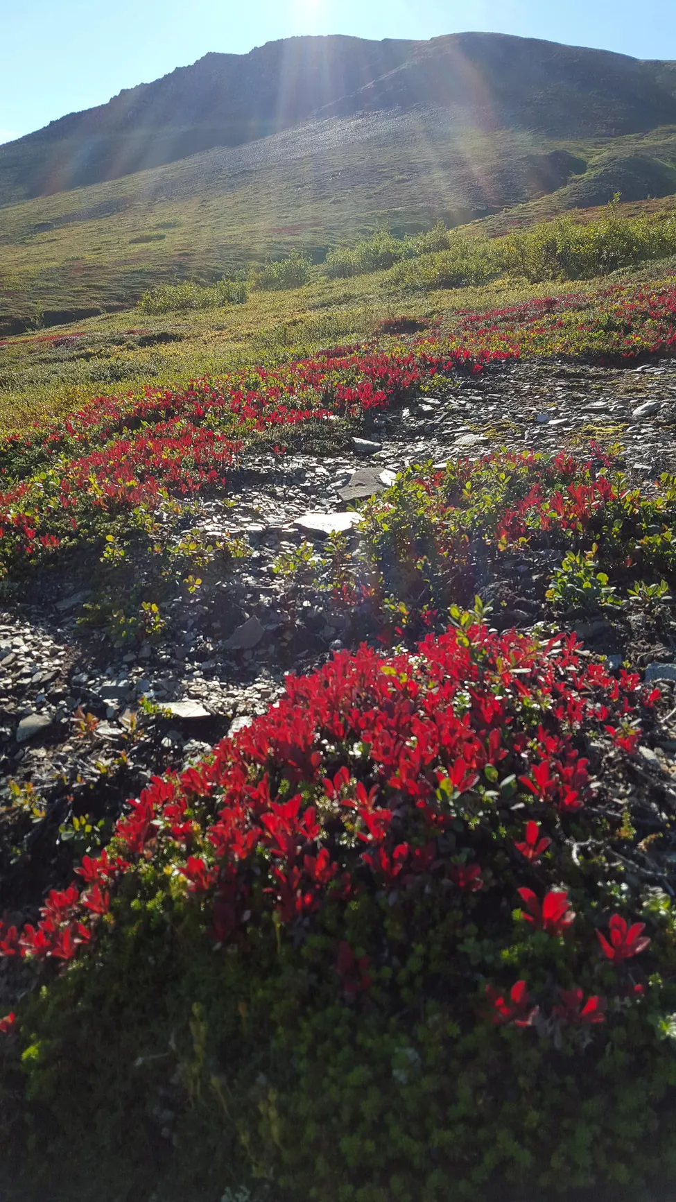 Klicka för att förstora
