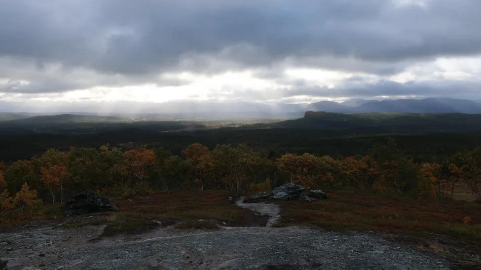 Klicka för att förstora