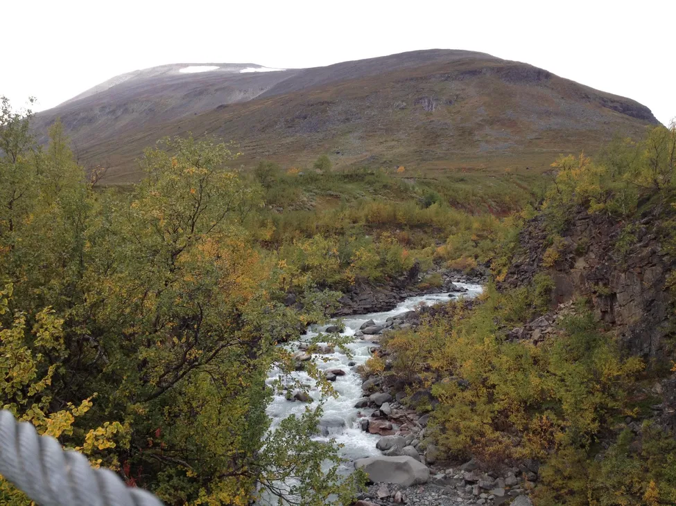 Klicka för att förstora