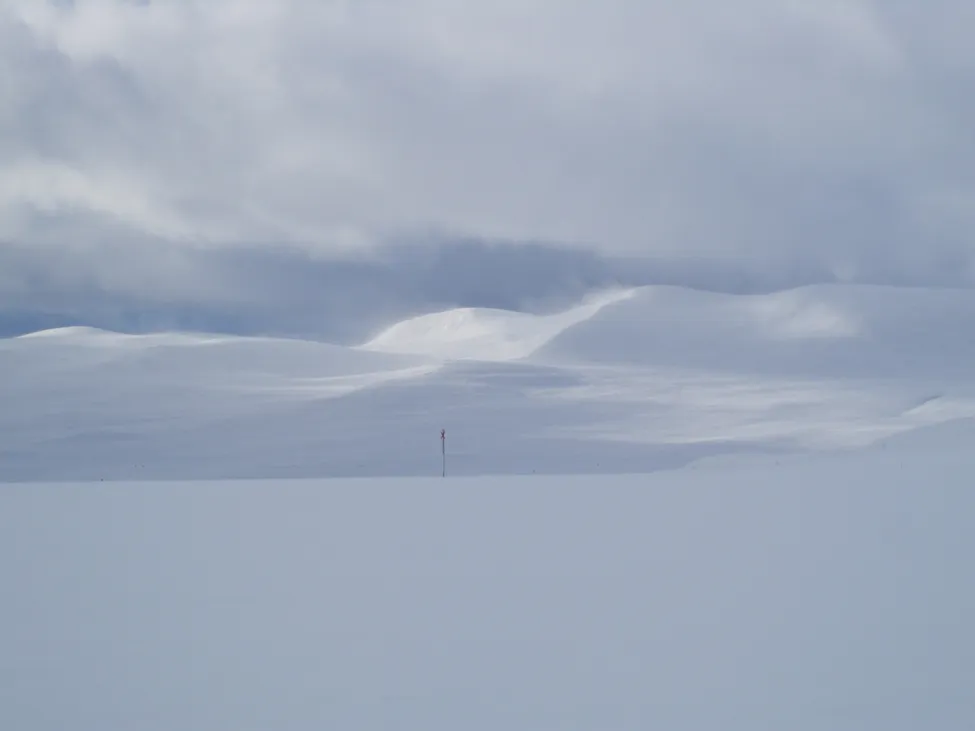 Klicka för att förstora