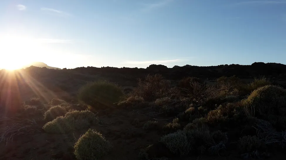 Klicka för att förstora