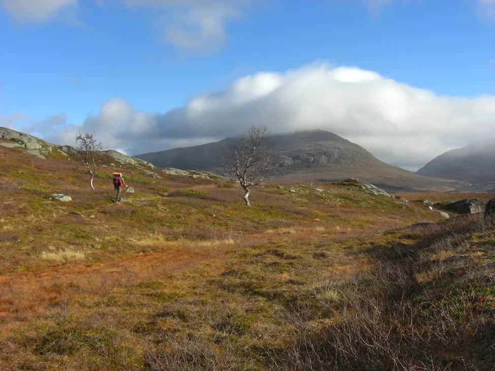 Klicka för att förstora