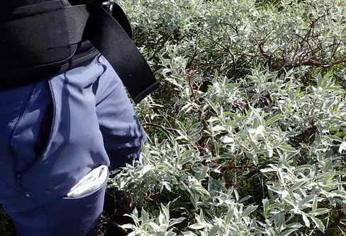 Fjällvandring? En begreppsdiskussion