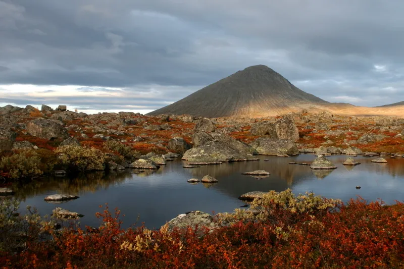 Klicka för att förstora