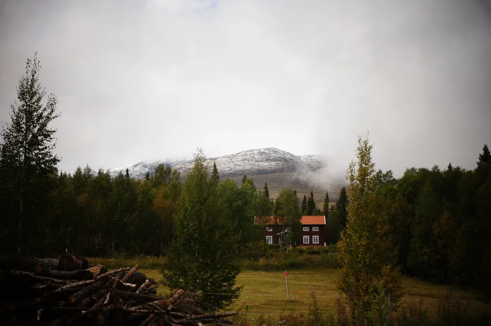 Klicka för att förstora