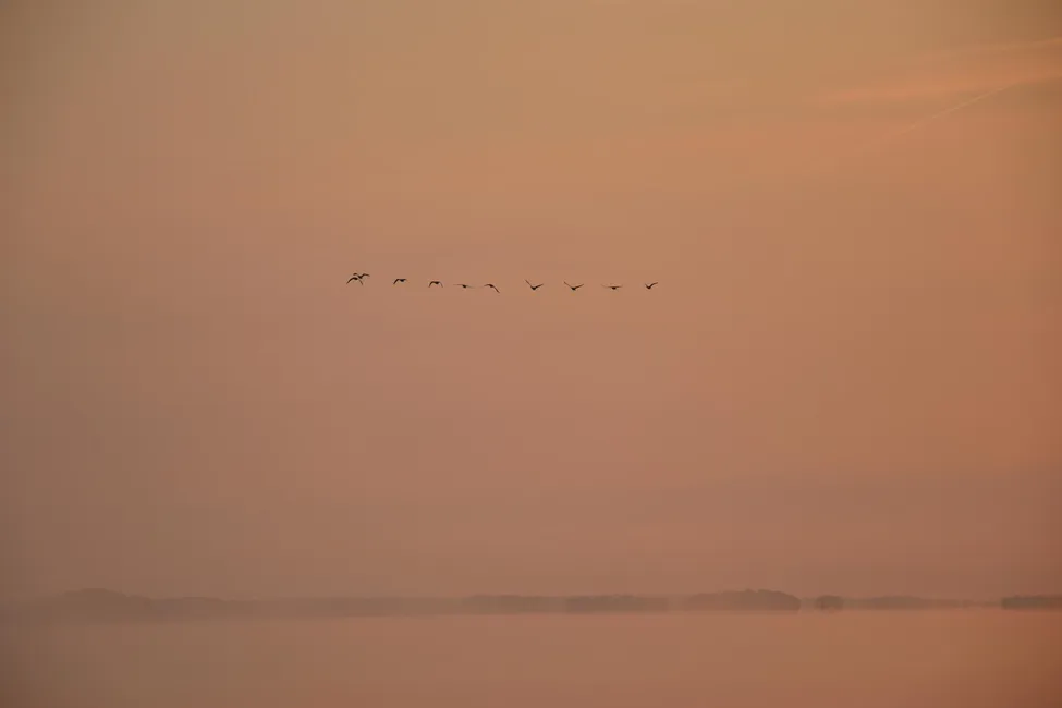 Klicka för att förstora