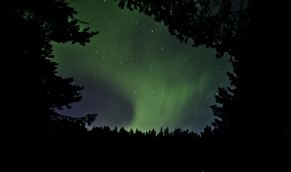 Klicka för att förstora