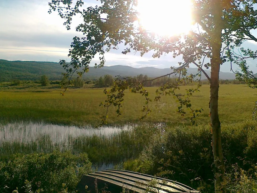 Klicka för att förstora