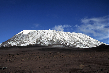 kilimanjaro