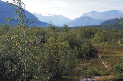 Vistasdalen