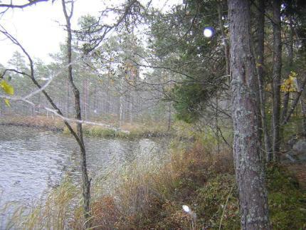 Första snön vid Stora Agnsjön, Florarna Första snön vid Stora Agnsjön, Florarna