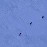 Gletsjertrekking
