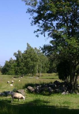 foto2 foto2