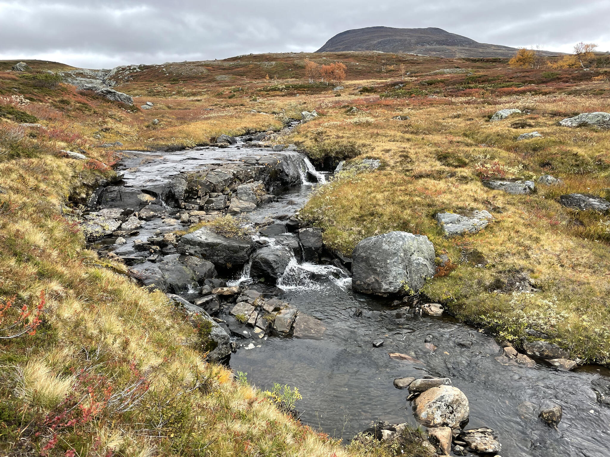 bcntpfybt yfl gfwfyjv chiroyli porno striptiz hd tomosha qiling It bilan jinsiy aloqa video