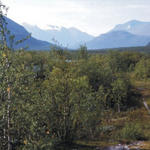 Vistasdalen