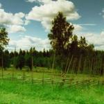 angen