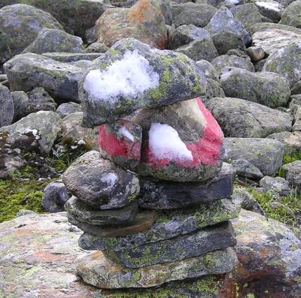 Nysnö på röset