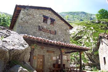 Pensionatet i Bulnes