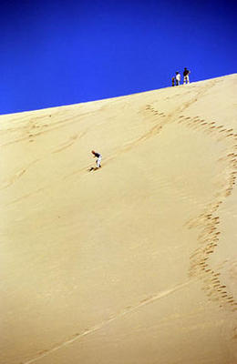 sandboard