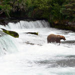 Alaska 2016, Books falls, Katmai