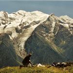 Lunch framför Mont Blanc