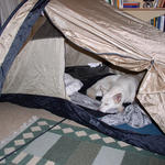 Chinook testar Jack Wolfskin Weightwatcher