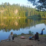 I vargskogen