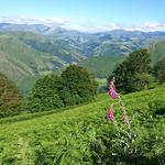 Saint Jean Pied De Port och El Camino