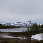 Treriksröset
