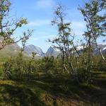 Mot Kebnekaise