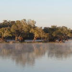 Zambesi river- flodhästarnas hem