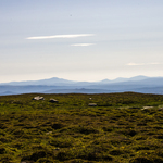 Falkfangervola: Ändlös vy mot svenska fjäll