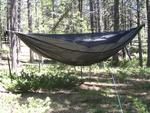 Warbonnet Blackbird Hammock