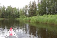 20 juni  Midsommar 2008 005 (Medium).jpg