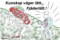 fjäder.jpg