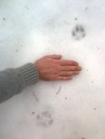 Bild027.jpg