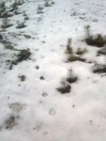 Bild028.jpg