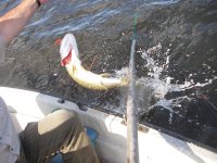 Fishing-008.jpg