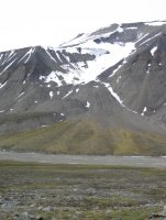 883.jpg