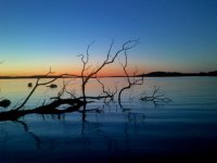 DSC_0104.jpg