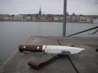S1 på Skeppsholmen.jpg