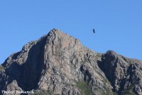 IMG_3641.jpg