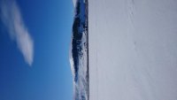 DSC_0234.jpg